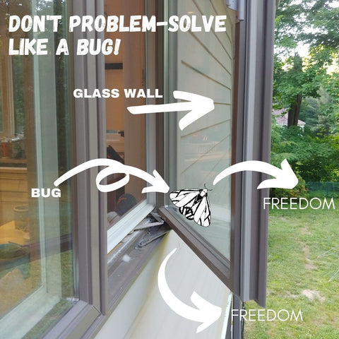 Don't Problem-Solve Like a Bug!