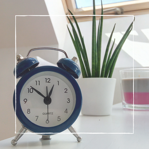 Clock and plant on table by window for time management