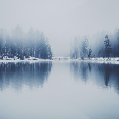 Photo by Dominik Dombrowski on Unsplash