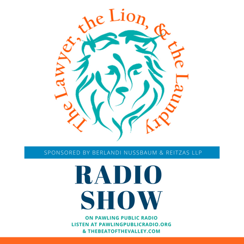 The Lawyer, the Lion, & the Laundry Radio Show Episode 1: All About My Book