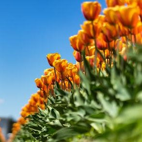 Spring clean your life to feel better