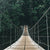 Photo of swinging bridge in woods