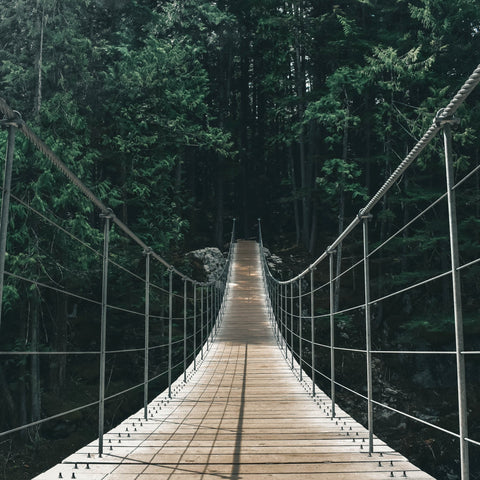 Photo of swinging bridge in woods