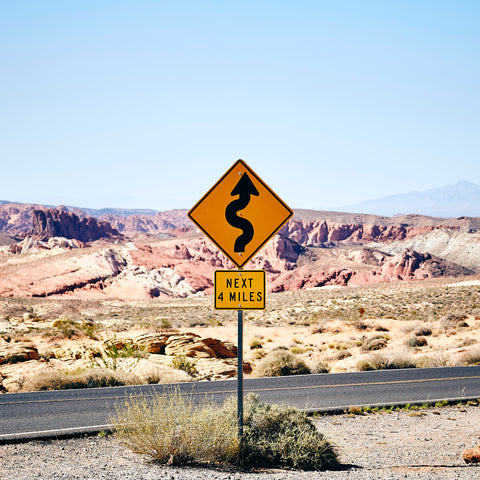 Photo by Fabien Bazanegue on Unsplash