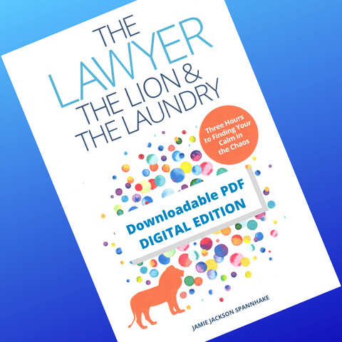 The Lawyer, the Lion, & the Laundry (e-book)